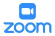 Zoom News kanal logosu